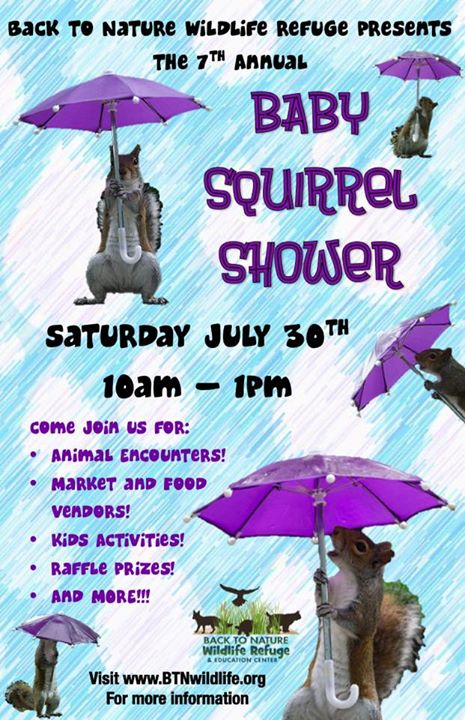 Baby Squirrel Shower Nonahood News