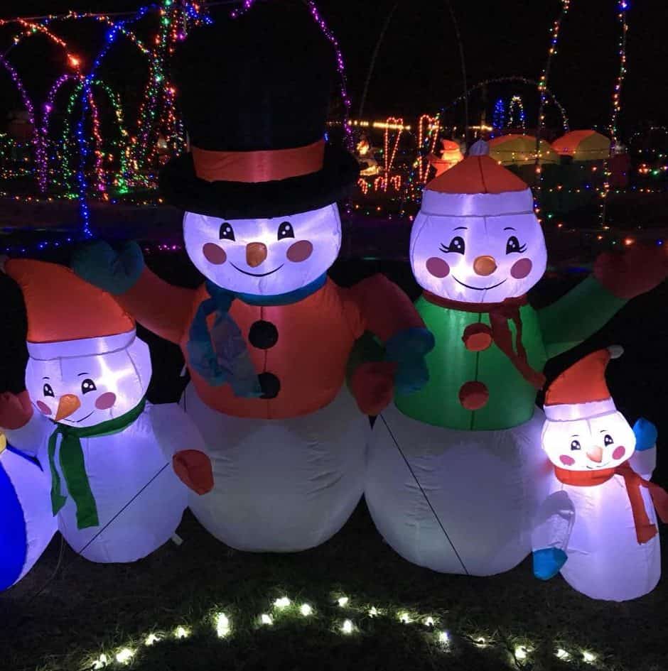 Christmas Lights for Charity • Nonahood News