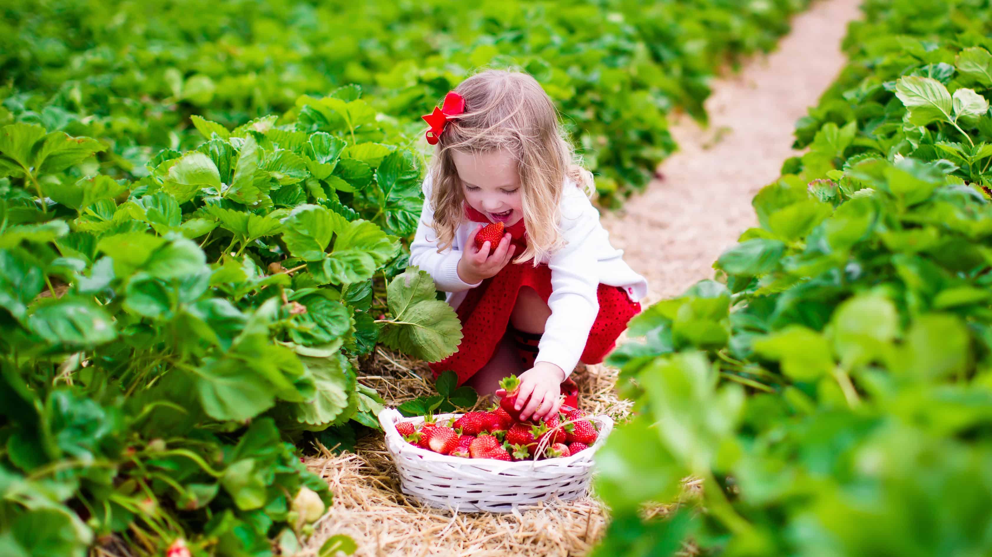 Child garden