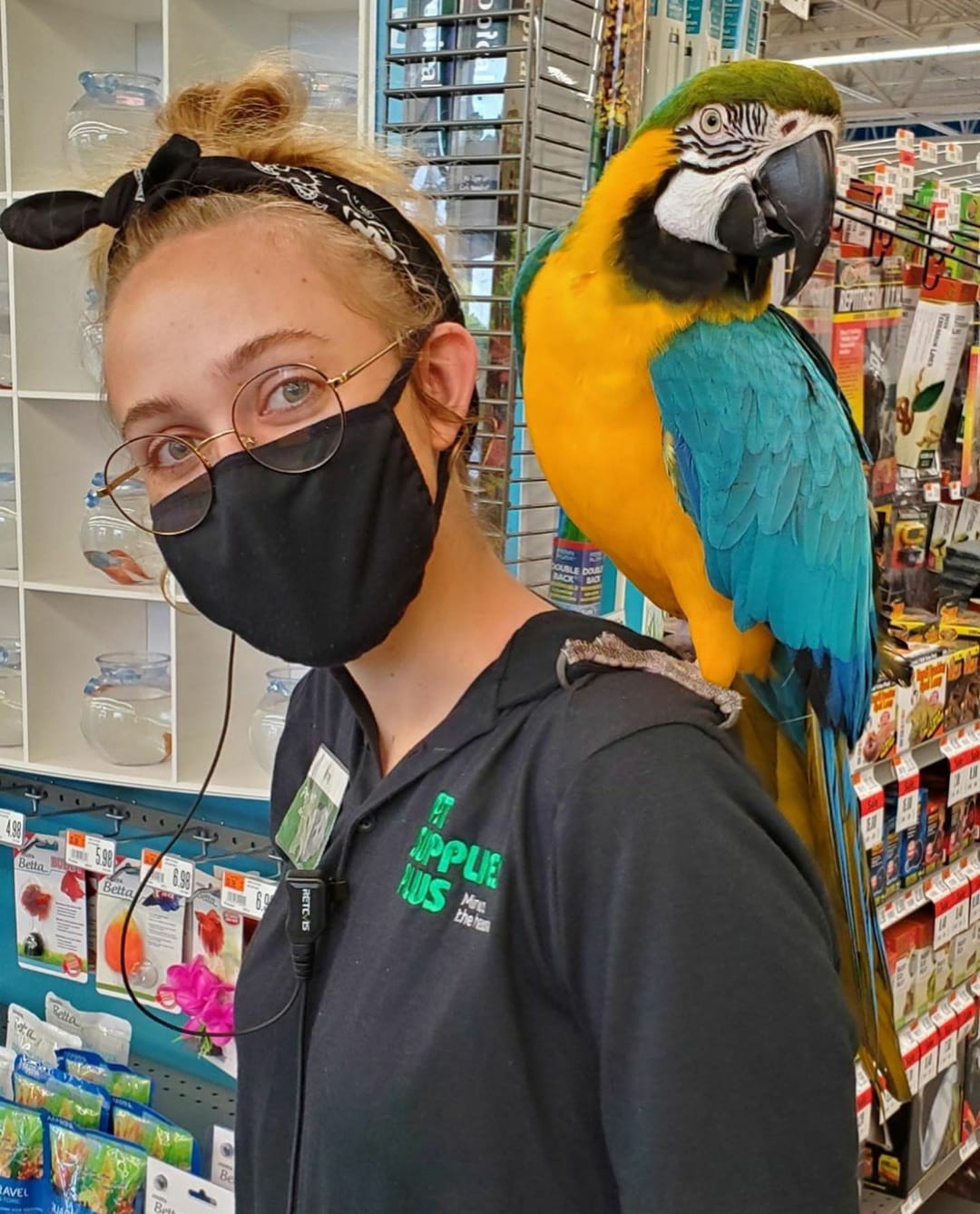 Pet supplies plus 2025 birds for sale